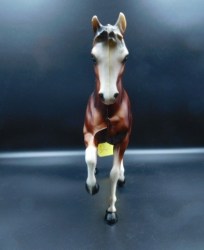 HK HORSE BROWN A